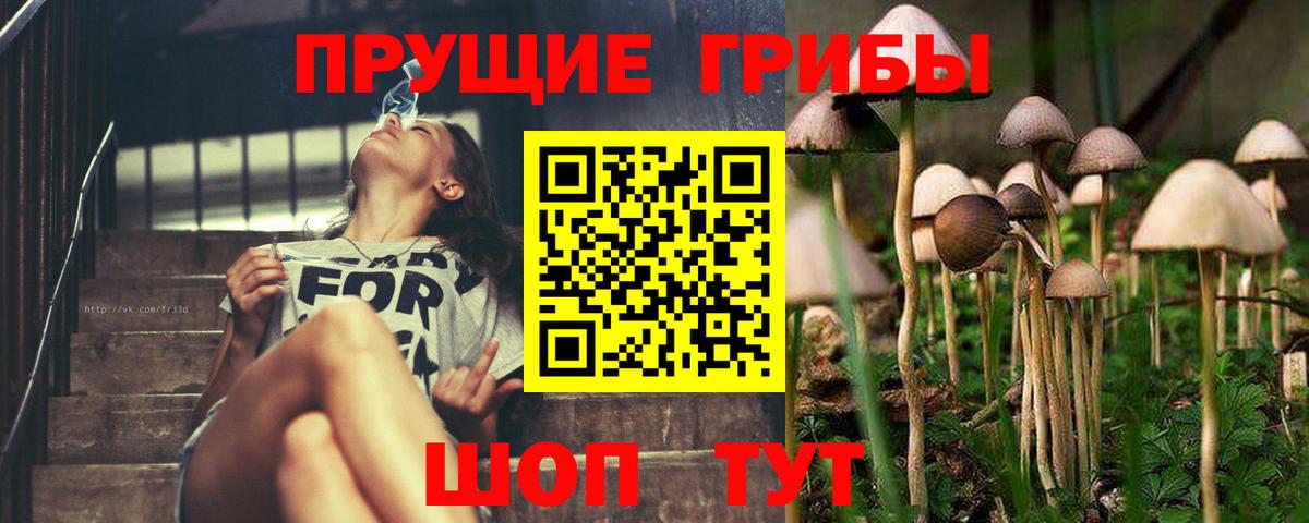 Россошь  Псилоцибиновые грибы Cubensis  Псилоцибиновые грибы GOLDEN TEACHER  Вход с VPN 